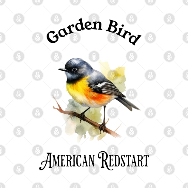 Garden Bird American RedStart by DavidBriotArt