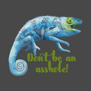 Don't Be An Asshole T-Shirt