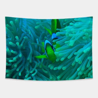 Clownfish and Sea Anemone Tapestry