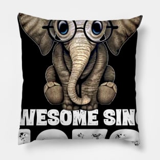 Awesome since 1972 48 Years Old Bday Gift 48th Birthday Pillow