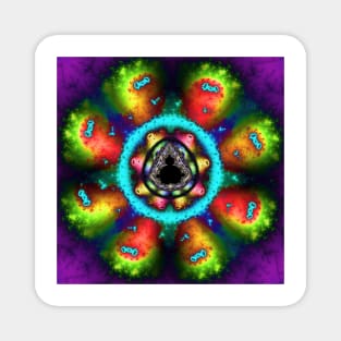 Psychedelic Mandelbrot Fractal Magnet