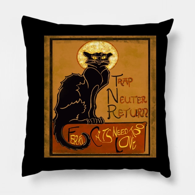 Chat Noir T N R Pillow by TAP4242