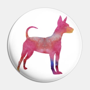 Miniature pinscher Pin