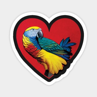 Colourful Parrot In a Heart Shape. Valentines Bird Magnet