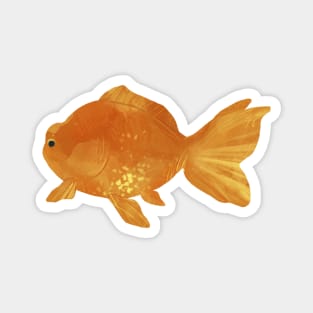 Hand Drawn Orange Goldfish Magnet