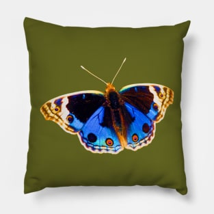 Blue Pansy Butterfly Pillow