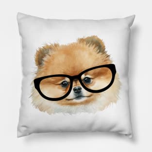 Cute  pomeranian dog with eye glasses Pillow