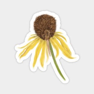 Kiwi + Coneflower Magnet