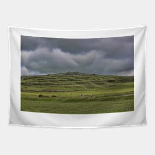 Cox Tor, Dartmoor, Devon, Tapestry