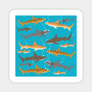 Shark Medley Magnet