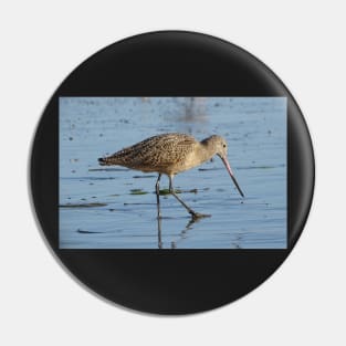 Huntington Beach - Godwit Pin