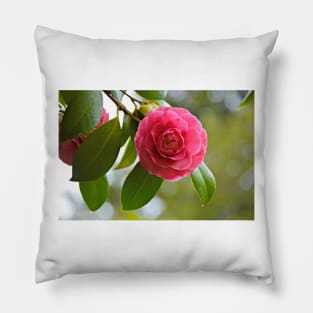Spring Camellia Pillow