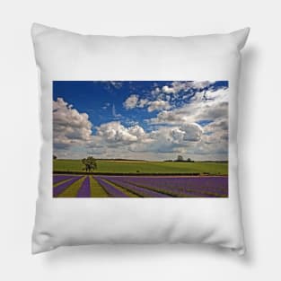 Lavender Field Purple Flowers Cotswolds England Pillow