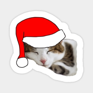 Christmas Cat in a Santa Hat Magnet