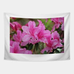 Smiling Azalea Tapestry