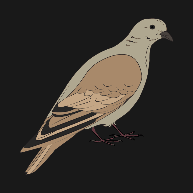 Mourning Dove by AndyMcBird