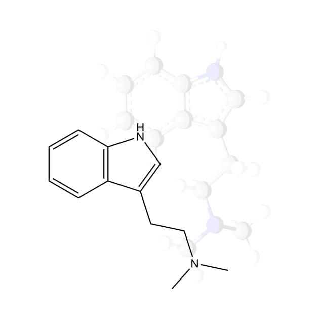 DMT Molecule by ChemECool