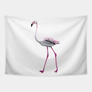 Greater flamingo Tapestry