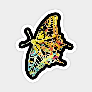 Cool butterfly colored t-shirt Magnet