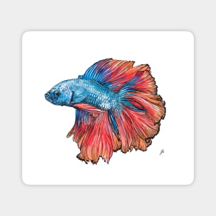 Siamese Fighting Fish Magnet