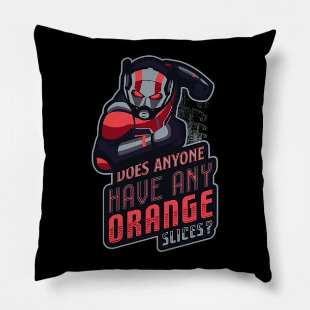 Does anyone have any orange slices Pillow by dayaganggu