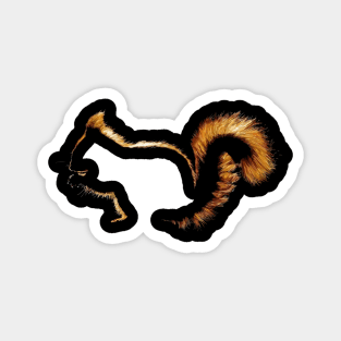 Squirrel Magnet