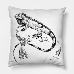 Iguana Picture Hand drawn Pillow