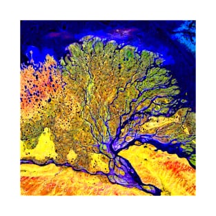 A photo of a colorful river delta taken from a satellite T-Shirt