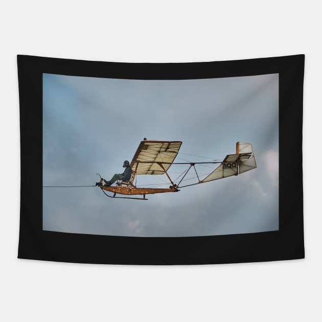 Eon Primary SG 38 Glider Tapestry by richard49