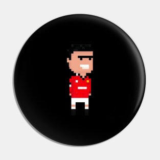 CANTONA 8 bit Pin