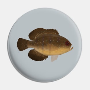 Bluespotted Sunfish Pin