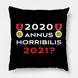 2020 Annus Horribilis 2021? Pillow