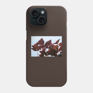 Oxalis Phone Case