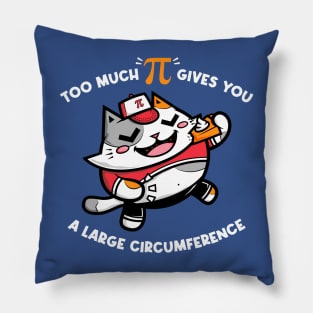 Too Much PI Pillow