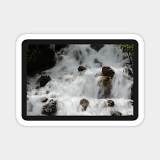 Singing  Waterfall Magnet