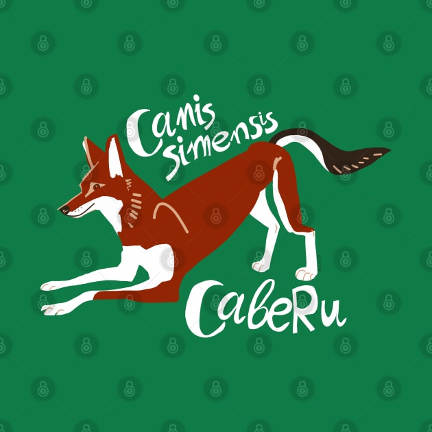 Caberu the Ethiopian Wolf #3 by belettelepink