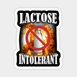 Lactose Intolerant Shirt, Lactose Intolerant, Weird Shirt, Specific Shirt, Funny Shirt, Offensive Shirt, Funny Gift, Sarcastic Shirt, Ironic Shirt Meme Shirt Magnet