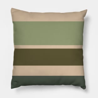 A singular integration of Camo Green, Beige, Grey/Green, Oxley and Gunmetal stripes. Pillow