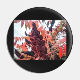 Autumn Rainy Season Day Pin