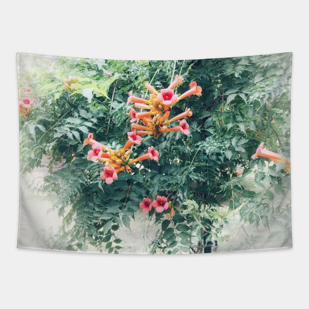 Tecoma blossom Tapestry by Khala