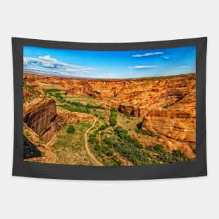 Canyon de Chelly National Monument Tapestry