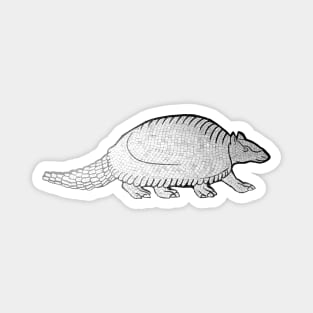 Armadillo Magnet