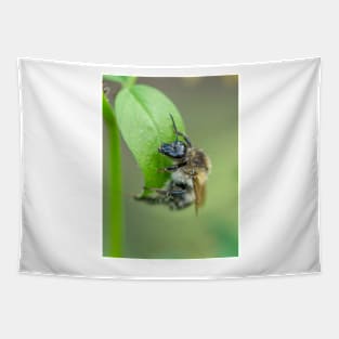 Bee on a leaf Tapestry