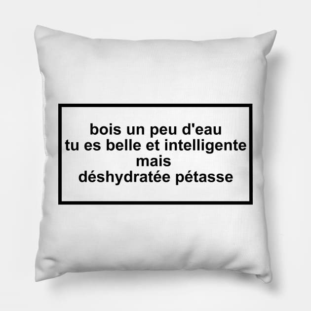 drink some water you're beautiful and smart but dehydrated bitch Pillow by ghjura