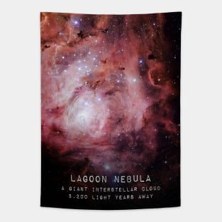 Lagoon Nebula Tapestry