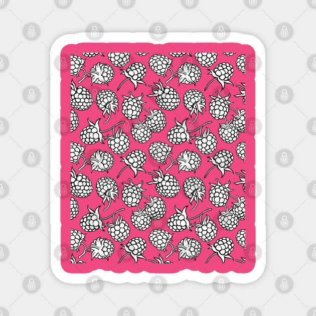 Raspberry Sorbet Magnet by DewaJassin