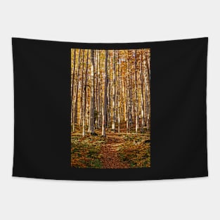 Deciduous forest with big trees Tapestry