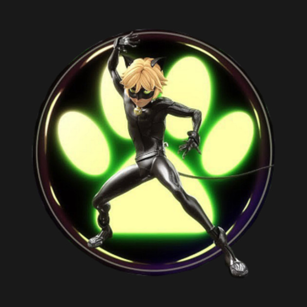 Cat Noir Miraculous Ladybug Hoodie TeePublic