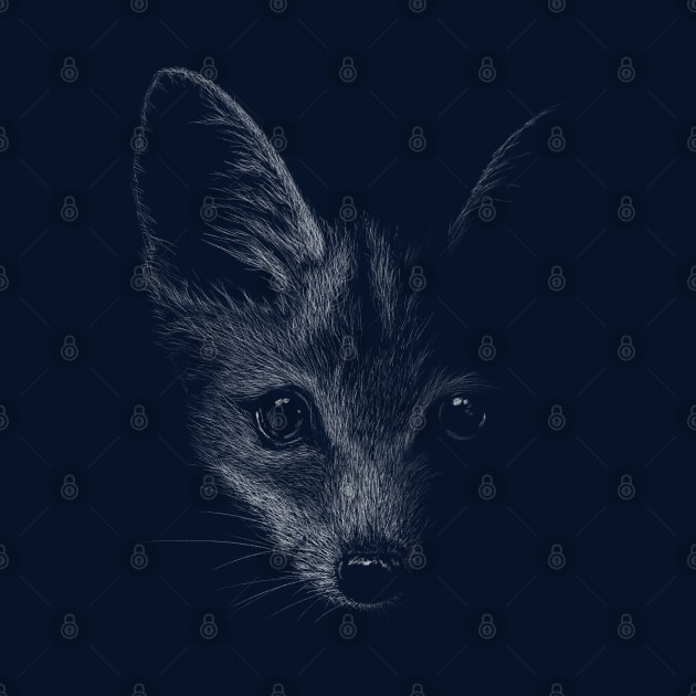 Fox Illustration Pencil Drawing Fox In The Dark by SkizzenMonster