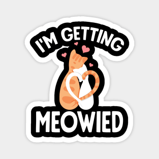 I'm getting meowied Magnet